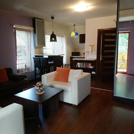 Apartament Glamour I Zakopane Zewnętrze zdjęcie